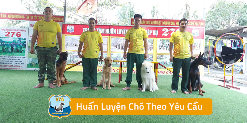 Huấn luyện chó theo yêu cầu